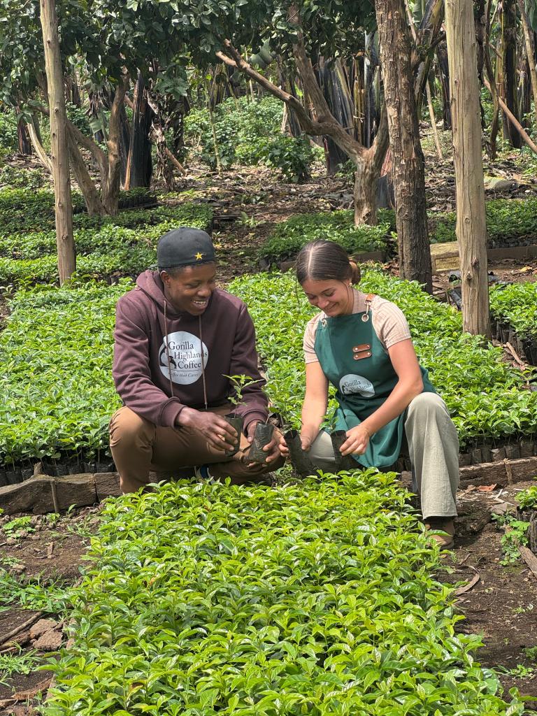Coffee farming