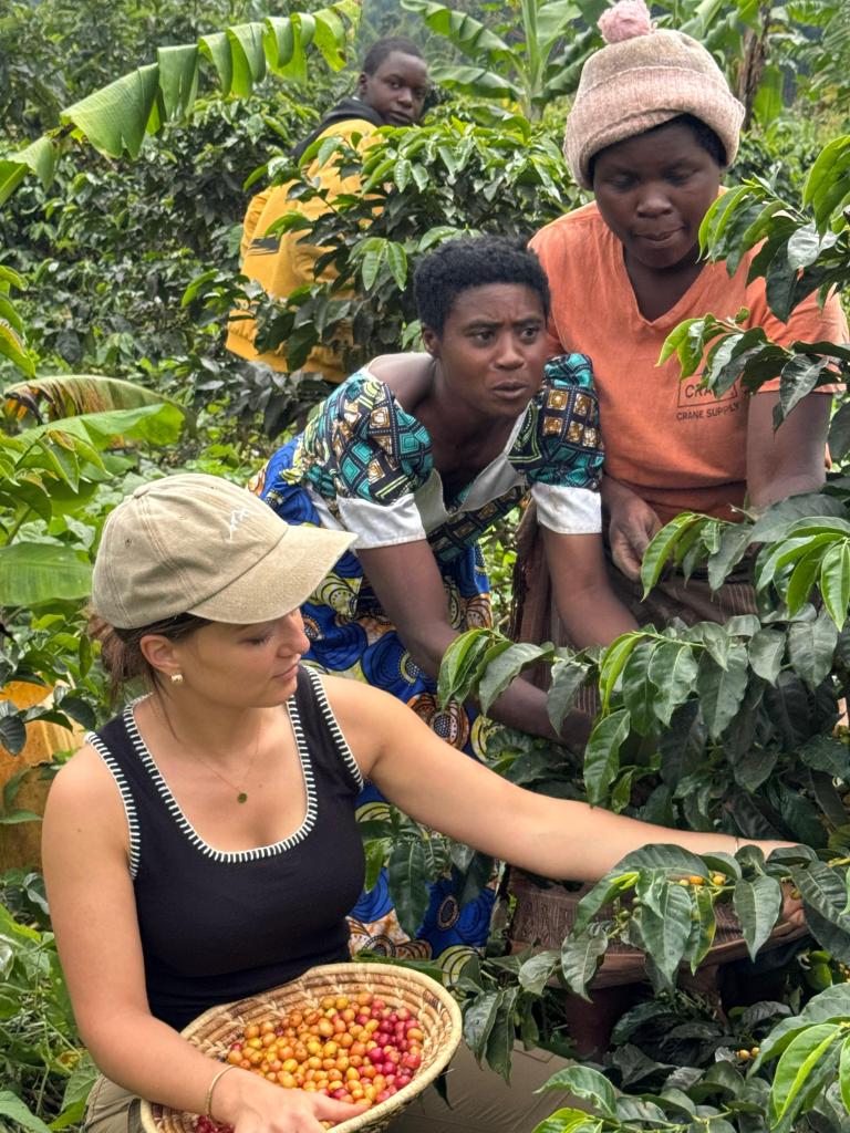 Coffee farming