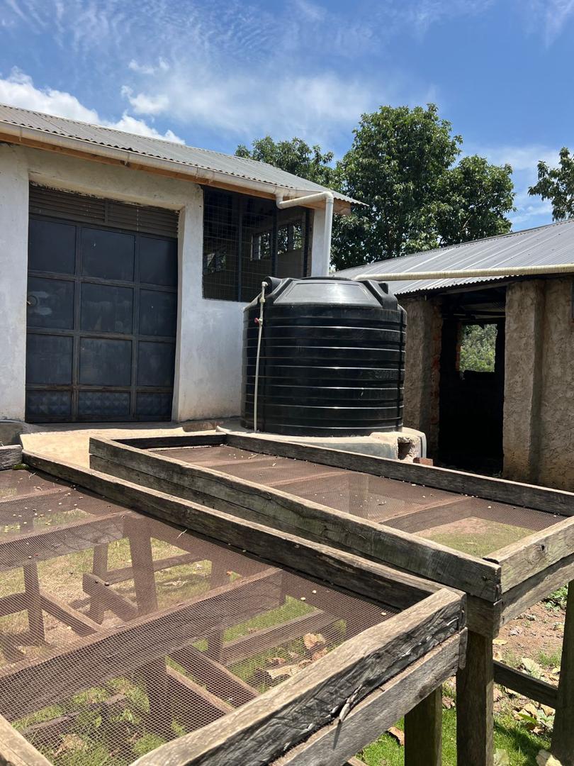 Drying beds beside the water tank